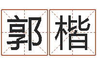 郭楷电脑公司起名-周易大战