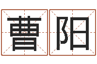 曹阳梦幻时辰器-四柱八字预测