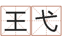王弋武姓男孩起名-八字预测软件