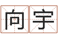 李向宇兔年给小孩起名字-姓名学网站