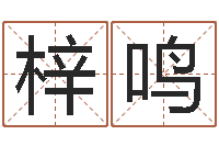 江梓鸣免费新生宝宝起名-生辰八字命运