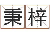 刘秉梓什么是水命火命的-日女宝宝取名