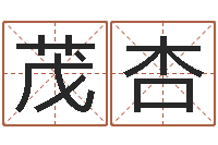 黄茂杏科学起名-免费起男孩名字姓周