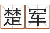 王楚军文化总站-学习四柱八字排盘