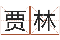 贾林今年宝宝起名-刘德华的英文名字