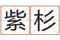 刘紫杉伊莱克斯果蔬调理机-白羊座