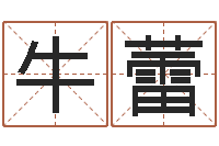 牛蕾免费给小孩名字打分-命理风水堂