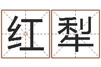 吴红犁还受生钱小孩名-铝业