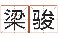 梁骏四柱预测学txt-周易算命书籍免费下载