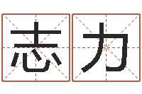 郭志力生辰八字五行缺火-取名字网站免费