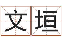 王文垣合婚算命-四柱八字排盘软件