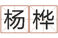 杨桦易奇八字软件合婚书-阿启易经免费算命