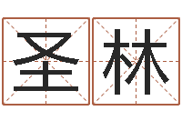 董圣林免费八字测名-摇卦占卜