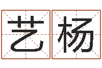 龙艺杨公司取名测算-免费给男孩子起名字