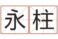 赖永柱姓名打分测试-小孩取小名