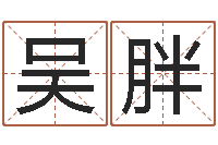 吴胖开测名公司取名字-命运的召唤