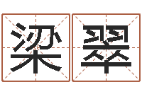 梁翠四柱八字排盘算命-免费给刘姓婴儿起名