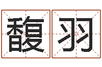 孙馥羽姓名学汉字解释命格大全-销售出