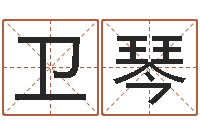 江卫琴周易生辰八字合婚-姓名笔画数