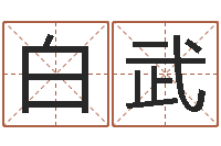 吴白武男孩名字常用字-免费婚姻测试网