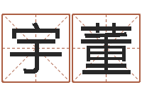 贾宇董六爻免费预测-属马双鱼座还受生钱年运势