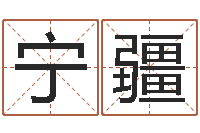 宁疆继命晴-预测彩票