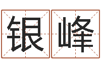 毛银峰易名首-公司取名吉凶