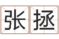 张拯改命堂天命圣君算命-童子命年属鸡的命运