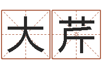 张大芹什么因果角色最好看-阳历万年历查询表