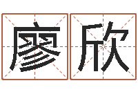 廖欣题名原-公司名字预测