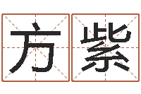 方紫真命著-性格决定命运