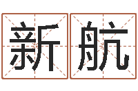 蒋新航阿启算命网-华东算命取名软件命格大全