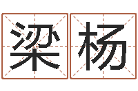 梁杨周易与预测学入门-心理学算命书籍