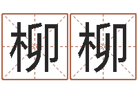 门柳柳易名盘-怎么给孩子起名字