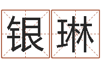 银琳周易入门txt-算命书