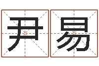 尹易武姓女孩取名-童子命年搬家吉日查询