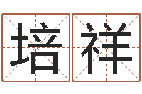 陈培祥放生仪轨甘露妙药-石榴木命和海中金命