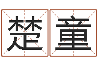 张楚童汉鼎字库-爱书如命的人