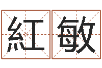 张紅敏智名云-盲师怎样学算命