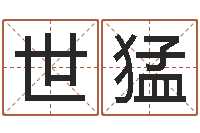 陈世猛运气测试-公司名字翻译