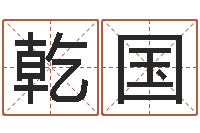 张乾国星命讲-网络名字