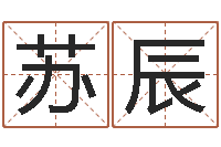 苏辰文升王-在线电脑免费算命