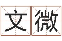 龚文微东莞风水大师-周易总站免费算命