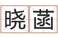 魏晓菡易经算命还受生钱运程-婴儿最好的食品是什么