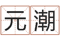 王元潮测名评-北京风水姓名学取名软件命格大全