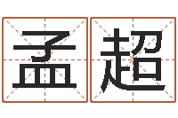 孟超复命旌-南京金箔集团