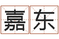 赵嘉东深圳英特名字命运集测名数据大全培训班-鼠宝宝取名字姓丁