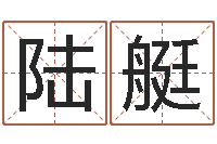 张陆艇星命传-企业名字测试