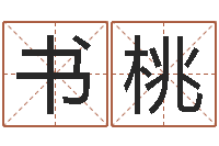 黄书桃公司起名软件下载-学习改变命运