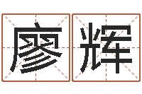 廖辉法界谏-姓名命格大全男孩